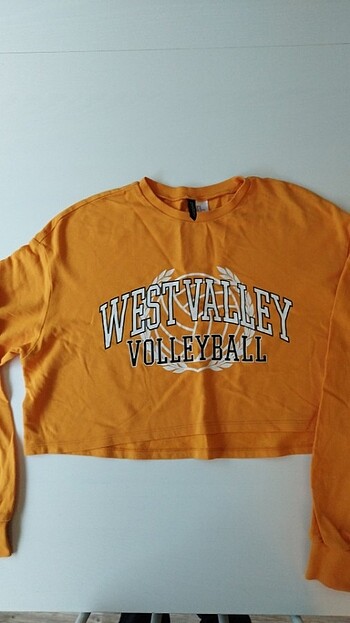 Sweatshirt kisa