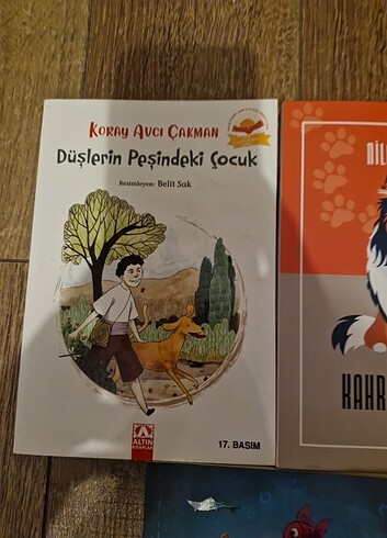  3 adet ilkokul düzeyi hikaye kitabı