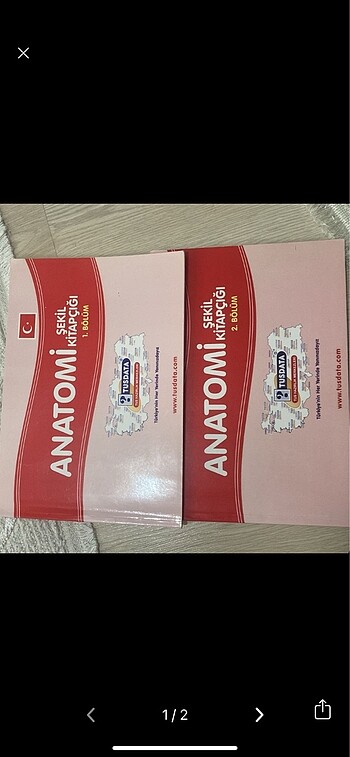 Anatomi şekil kitabı