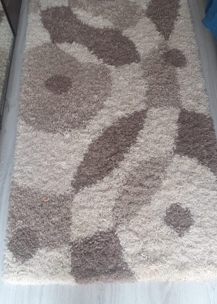 şagi Yolluk - Görsel 2