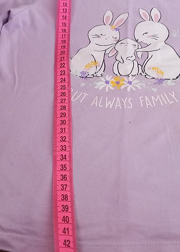 Kız Çocuk Pembe Pamuklu Kısa Kollu Tişört - Görsel 4