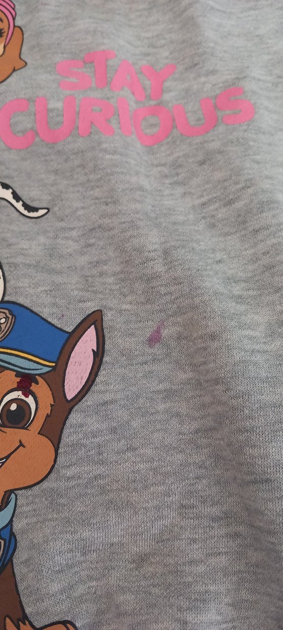 Gri Baskılı Erkek Çocuk Sweatshirt - Görsel 4