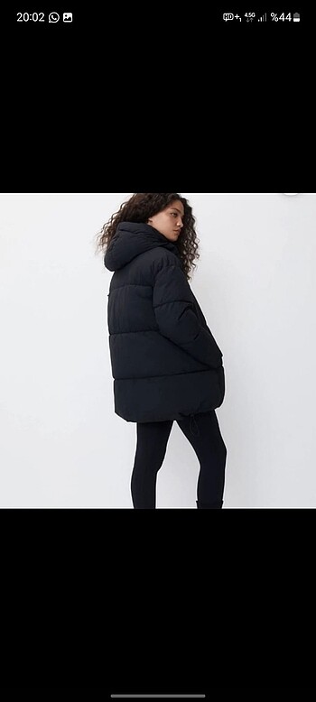 m Beden Kadın mont pull bear