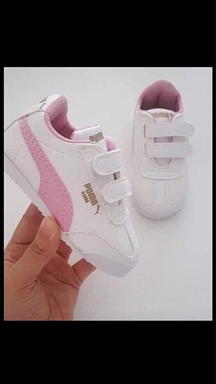 Puma roma