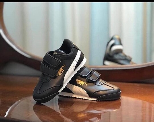 Puma roma