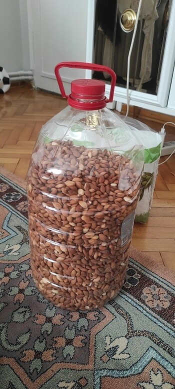 Kayısı çekirdeği 