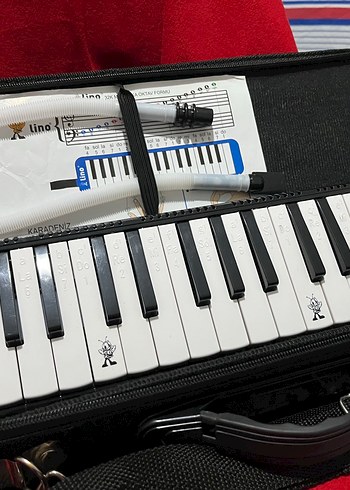 Çantalı melodika sıfır ürün tam ekipman - Görsel 7