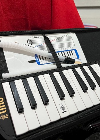 Çantalı melodika sıfır ürün tam ekipman - Görsel 5