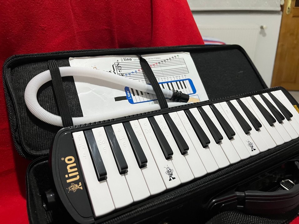 Çantalı melodika sıfır ürün tam ekipman - Görsel 5