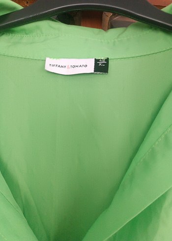 Yeşil Uzun Kollu V Yaka Kadın Gömlek - Görsel 3