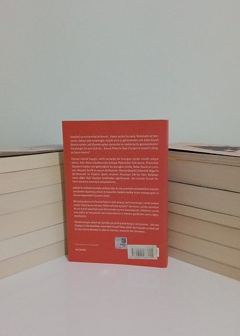 ~Kovuk Palas'ın Esrarı ~ Osman Cemal Kaygılı~
#edebiyat ~
#roman - Görsel 2