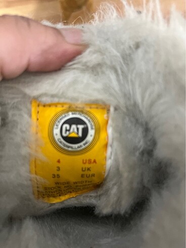 Cat Kışlık bot