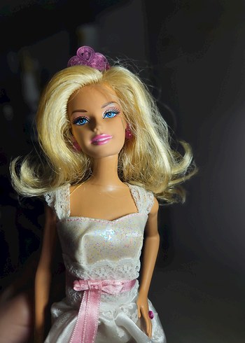 Beden Renk Gelin ve Damat Barbie ve Çocukları