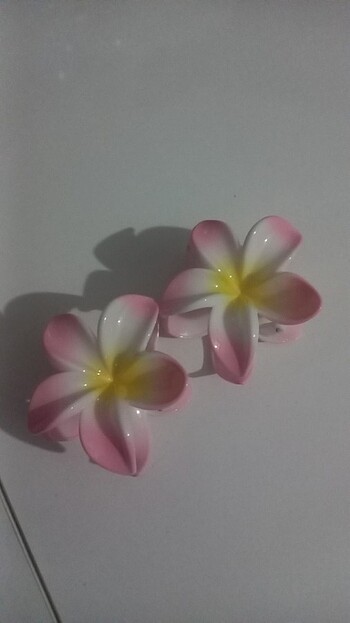 Lotus toka
