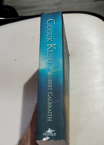Beden Guguk Kuşu, 2014 yılı 1. baskı, 544 sayfa