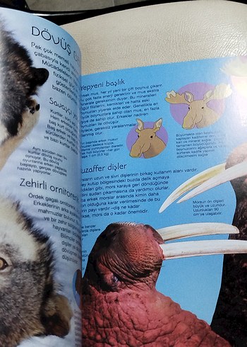 Beden Renk Doğanın Gizemleri ve Harikaları, TÜBİTAK