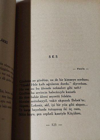 Kendi Gök Kubbemiz, Yahya Kemal - Görsel 9