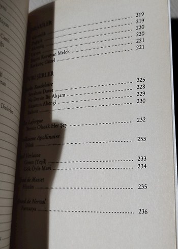 Otuz Beş Yaş, Cahit Sıtkı Tarancı - Görsel 13