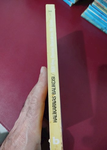 Halikarnas Balıkçısı, Ege'den Denize Bırakılmış Bir Çiçek - Görsel 3