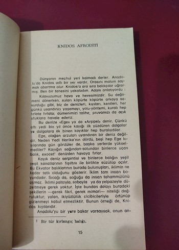 Halikarnas Balıkçısı, Ege'den Denize Bırakılmış Bir Çiçek - Görsel 7