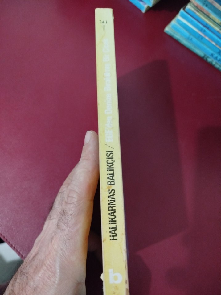 Halikarnas Balıkçısı, Ege'den Denize Bırakılmış Bir Çiçek - Görsel 3