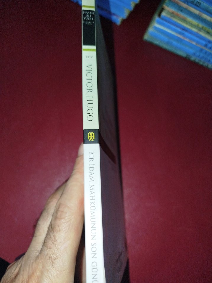 Bir İdam Mahkumunun Son Günü, Victor Hugo - Görsel 3