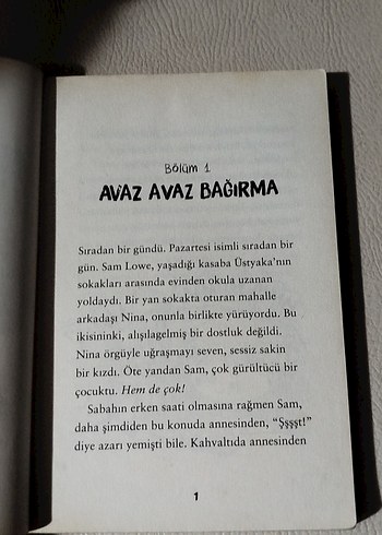 Süper Gümbürtü Sam, Jo Simmons - Görsel 5