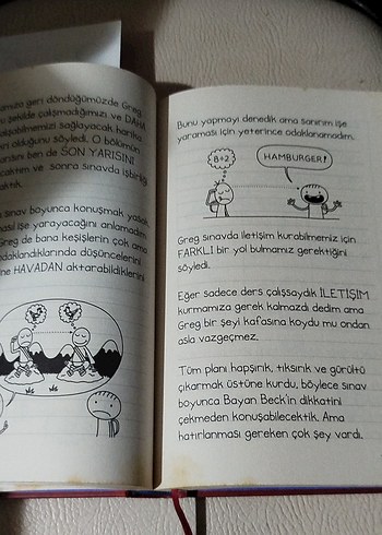 Müthis Arkadaş, Rowley'nin Günlüğü, 218 sayfa - Görsel 5