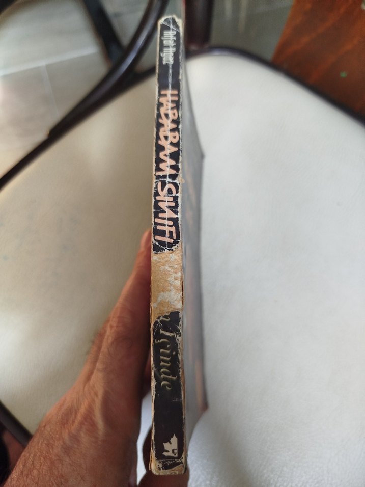 Hababam Sınıfı,Rıfat Ilgaz, Roman - Görsel 3