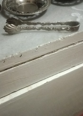 Parlak Gümüş Altı Tabak ve Maşa Seti - Görsel 3