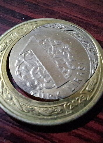  Hatalı bir lira