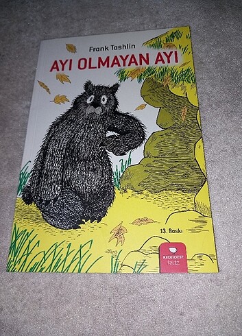 Ayı olmayan ayi