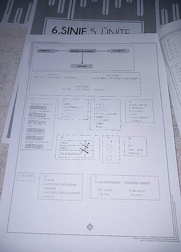6.sınıf meb fen çalışma fasikülleri  - Görsel 4