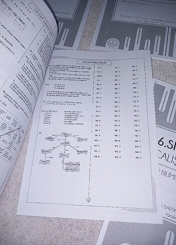 6.sınıf meb fen çalışma fasikülleri  - Görsel 6