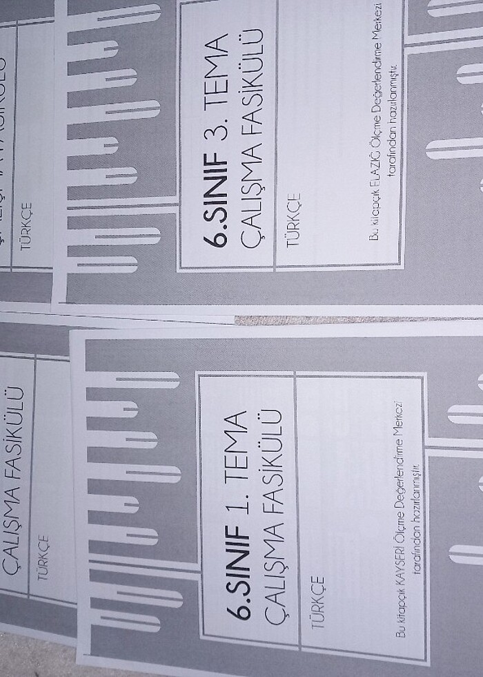 Meb 6.sinif Türkçe çalışma fasikülleri  - Görsel 3