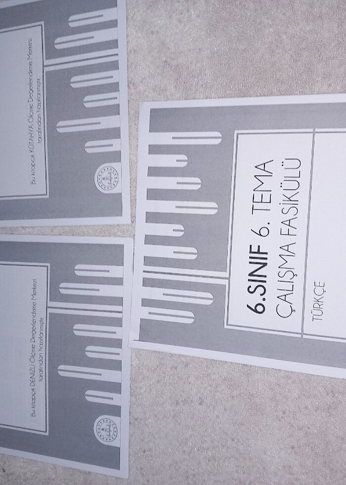 Meb 6.sinif Türkçe çalışma fasikülleri  - Görsel 4