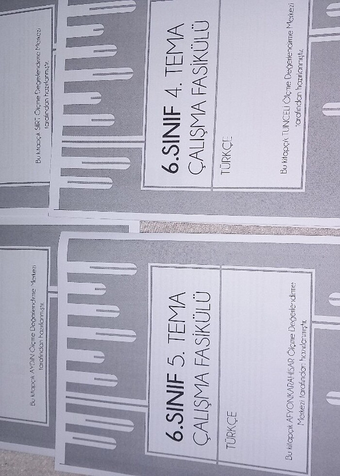 Meb 6.sinif Türkçe çalışma fasikülleri  - Görsel 5