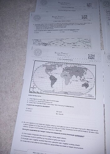 6.sinif sosyal meb beceri temelli sorular - Görsel 2