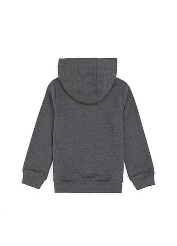 U.S Polo Assn. Uspa kapşonlu fermuarlı sweatshirt