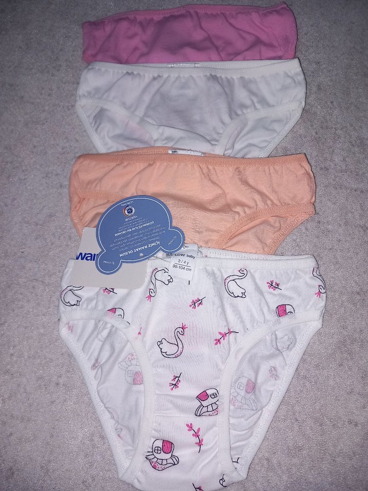 Çocuklar için Pastel Renkli 4'lü Külot Seti - Görsel 5