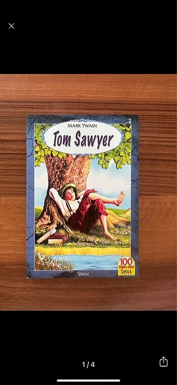 Tom Sawyer