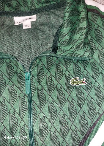 LACOSTE erkek Eşofman Takımı M - Görsel 5