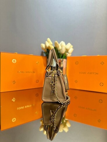 Beden kahverengi Renk Louis vuitton