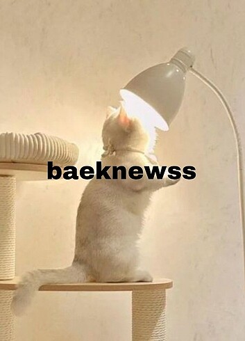 dkfkkfk