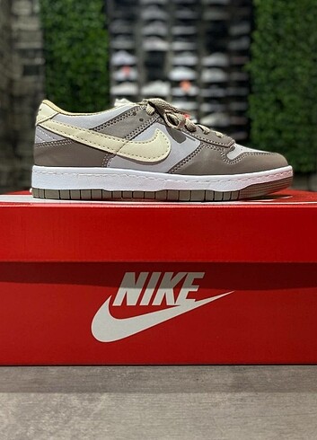 Nike Dunk Spor Ayakkabı 
