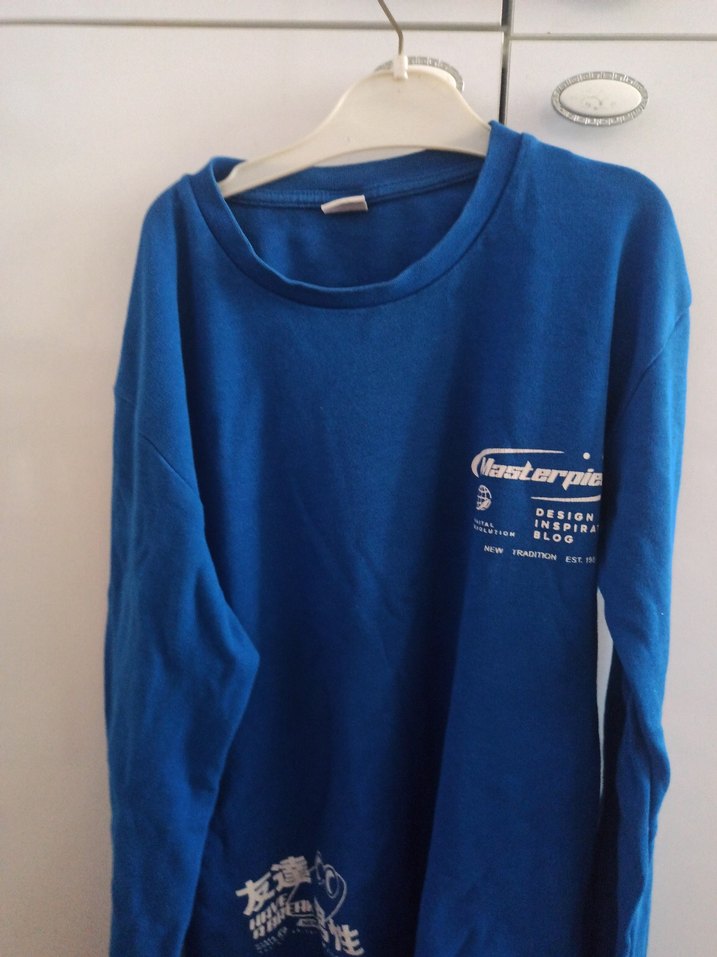 Mavi Baskılı Erkek Sweatshirt - Görsel 2