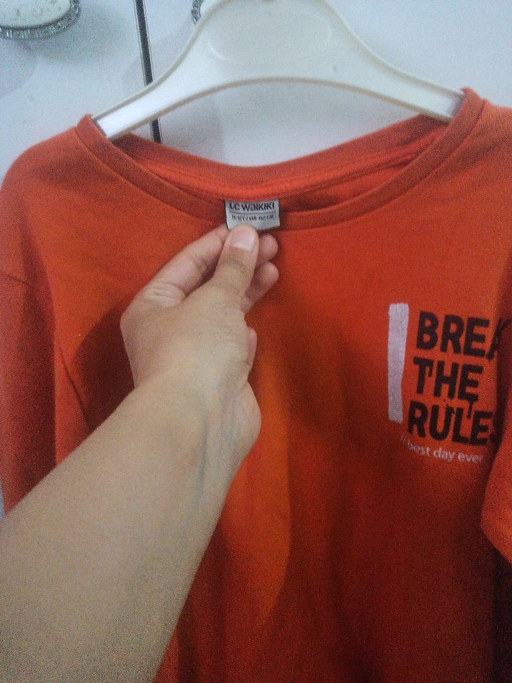 Turuncu Erkek Çocuk Sweatshirt, Uzun Kollu, Salaş - Görsel 2