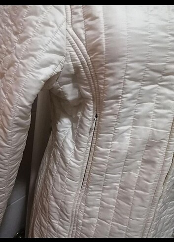 Ekol kaban - Görsel 5