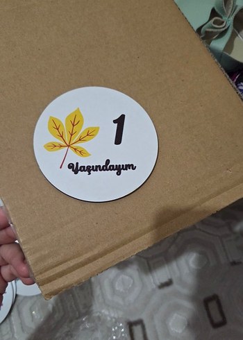 Bebek Aylık Anı Kartları - 12 Ahşap Kart - Görsel 3