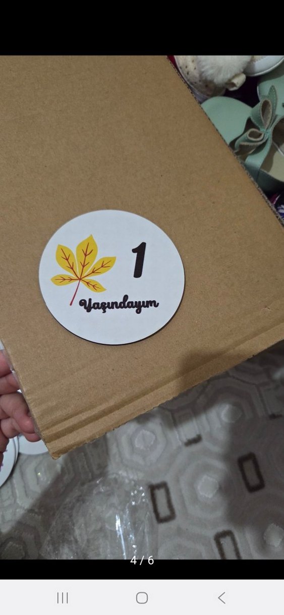 Bebek Aylık Anı Kartları - 12 Ahşap Kart - Görsel 3